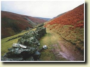 Bilde av Gammel togtrasse