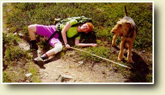 Bilde av Fall og knall