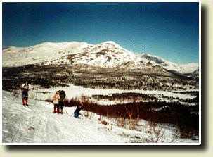 Bilde av Oppover og oppover...