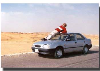 En Alf en, med biltendeser